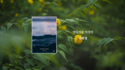 남현정 작가 『아다지오 아사이』 